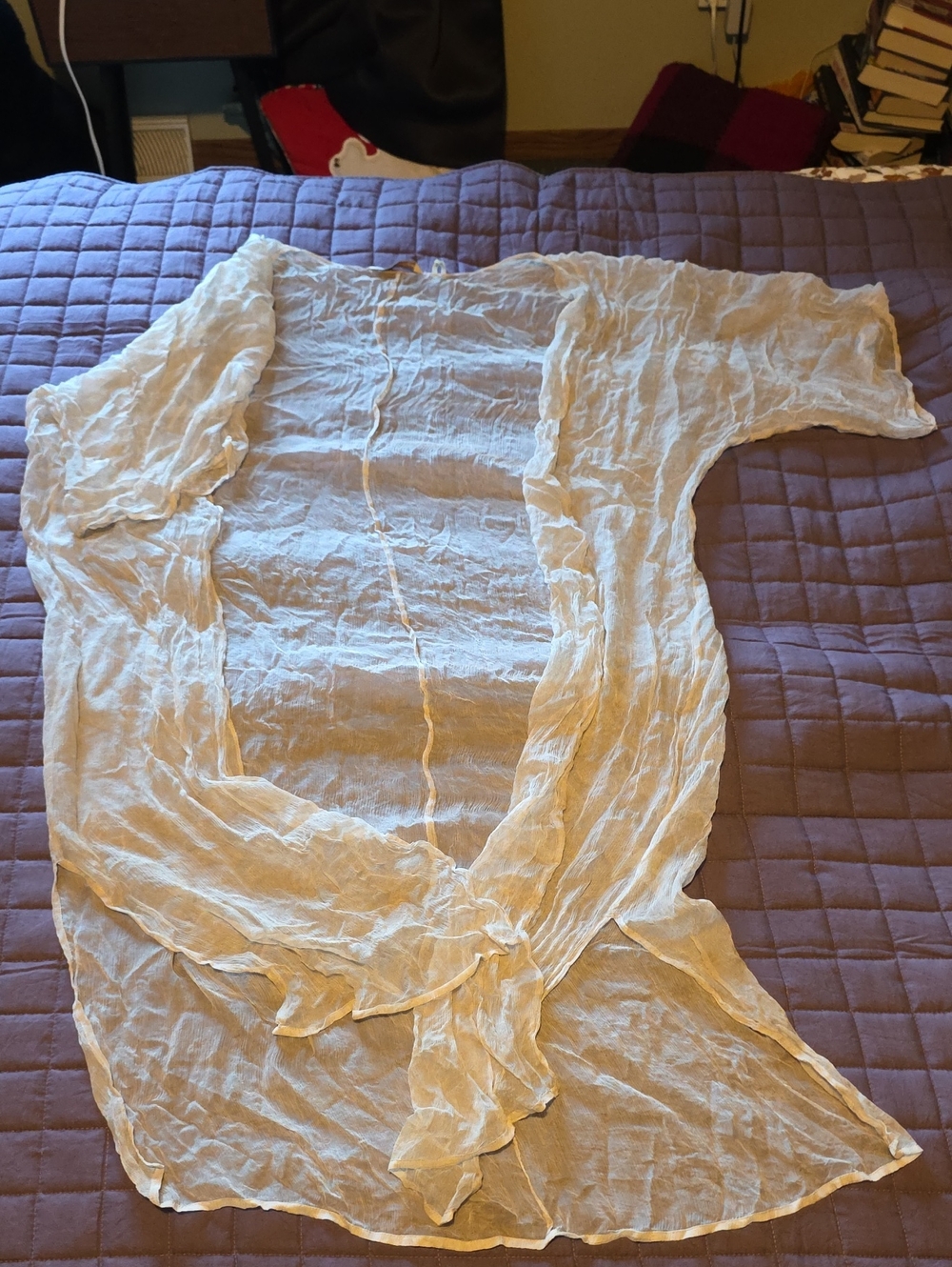 Soft Surroundings Sheer Crinkled Cover-Up in Light Beige
